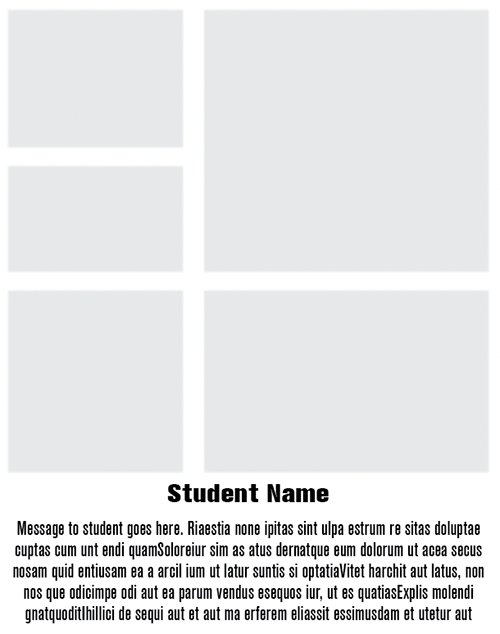 full-theme-11
