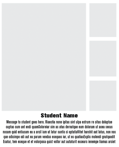 full-theme-03